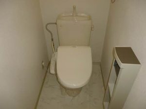 メゾンマルヤ 0203号-5