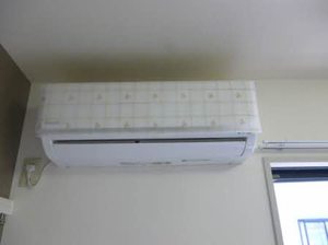 メゾンマルヤ 0203号-10