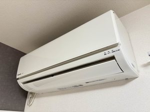 メゾンマルヤ 0203号-12