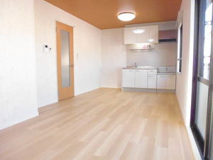 ＤＲＥＡＭＦ 0202号-2