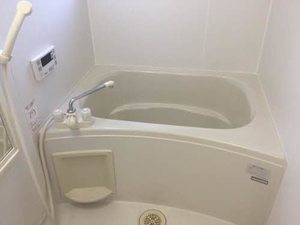 カーサルミエール F101号-12