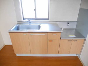 セレーナ B201号-6