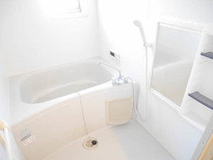 セレーナ B201号-11