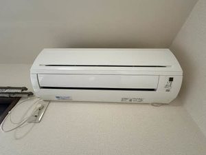 ルクプルカワイ 0103号-11