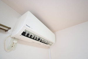 ルクプルカワイ 0106号-10