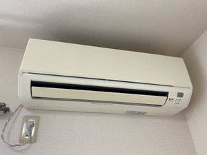 ルクプルカワイ 0203号-4