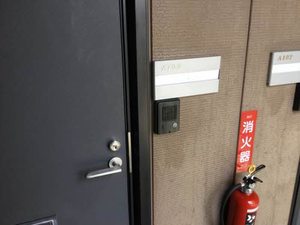 ラポールカイト A101号-3