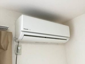 ラポールカイト A101号-13