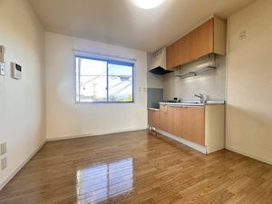 ラポールカイト A202号-4