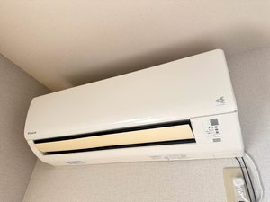 ラポールカイト A202号-11