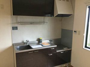 ラポールカイト D201号-9