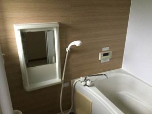 ラポールカイト D201号-11