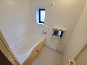 ルミエール一宮 C101号-9