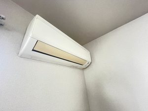 ディアスカリヨン B101号-10