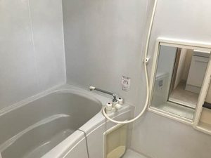 バリュージュＮ－Ⅱ B102号-7