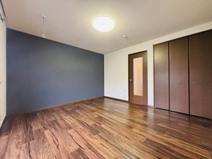 メゾン・ド・ルミエール A101号-3