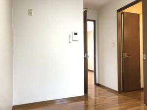 メゾン・ド・ルミエール A103号-4