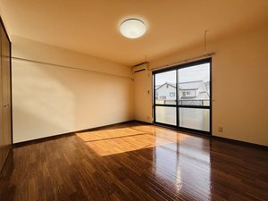 メゾン・ド・ルミエール A202号-5