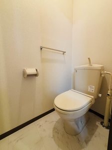 メゾン・ド・ルミエール A202号-12