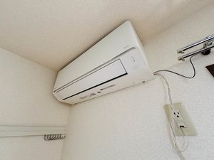 メゾン・ド・ルミエール B101号-13