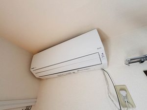 メゾン・ド・ルミエール B201号-12