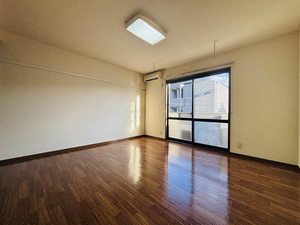 メゾン・ド・ルミエール B202号-5