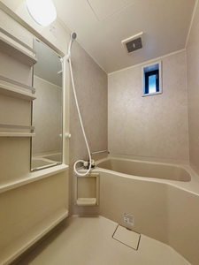 メゾン・ド・ルミエール B202号-11