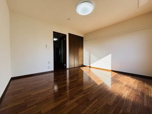 メゾン・ド・ルミエール B203号-3