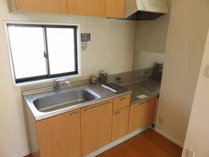 ザミレニアム A201号-5