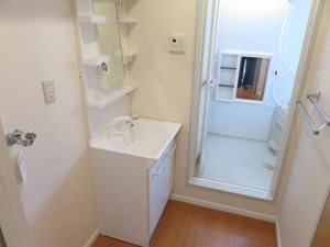 ザミレニアム A201号-10