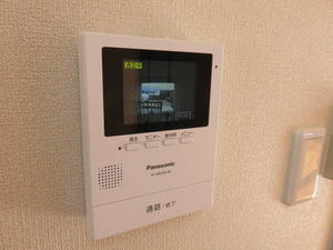 ザミレニアム A201号-13