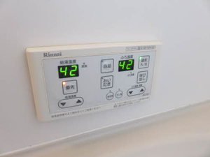 ザミレニアム A201号-14