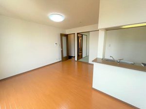 ザミレニアム B102号-3