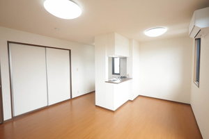 ザミレニアム B202号-3