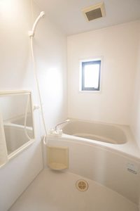 ザミレニアム B202号-10