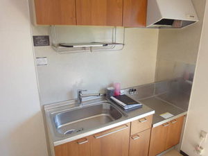 Ｍナイアガラ B101号-3