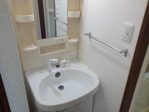 Ｍナイアガラ B101号-9