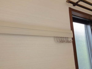 Ｍナイアガラ B101号-12