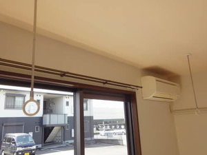 Ｍナイアガラ B101号-13