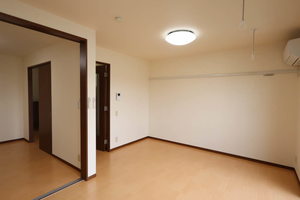 ルミエールリバーⅢ C202号-8