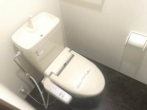 MハイツⅣ 0203号-9