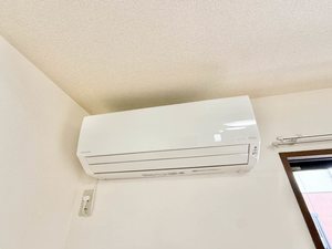 プリムローズ B101号-12