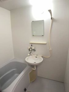 ウィルⅠ 0202号-10