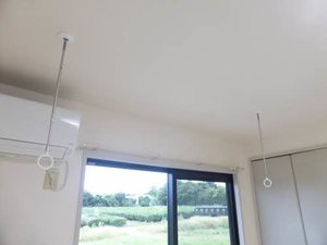 こすもす D102号-10