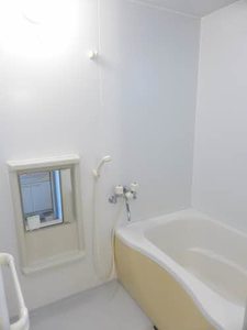 こすもす D201号-11