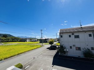 グリーンセトル B201号-12