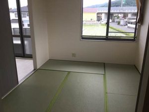 グリーンセトル C201号-10