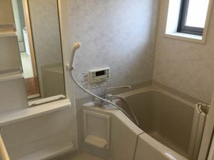 グリーンセトル C201号-12