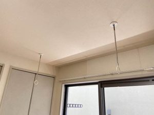 サンフラワー A102号-12