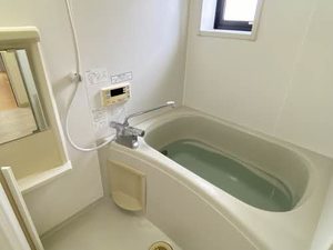 フォーレス望 A101号-9